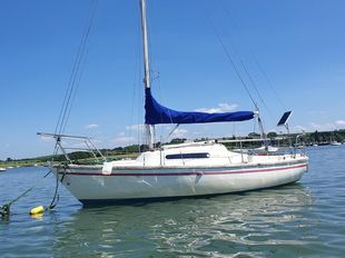 Hurley22 r 