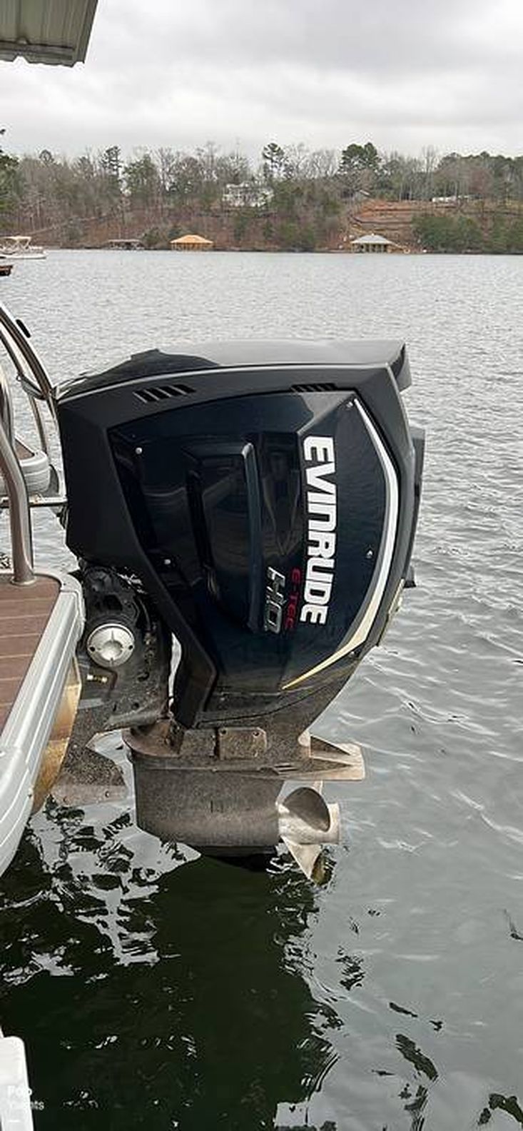 2019 Evinrude sweetwater 255 sdp