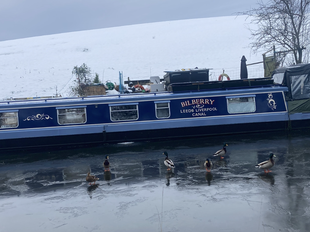 Bilberry:  50ft Narrowboat Skipton