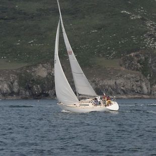 Sigma 33 OOD