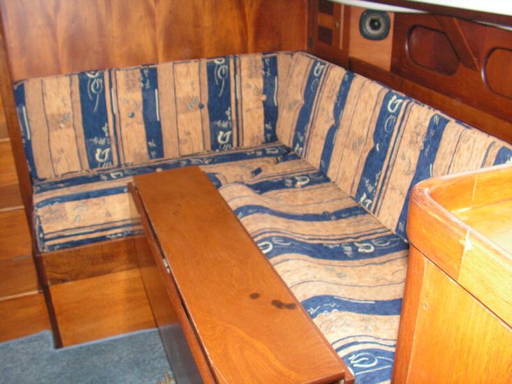 Nelson 38