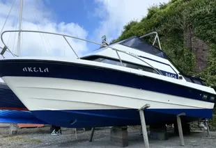 1979 Draco Cruiser