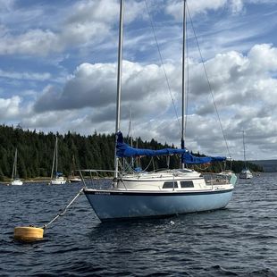 Hunter Liberty 23