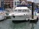 1991 Fairline Turbo 36
