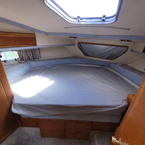 1990 sealine 365 sportbridge power 9429428 20240619064653366 1 XLARGE