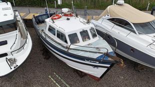 1995 Starfish 10