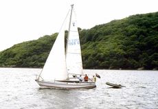 Excellent Pegasus 800 FOR SALE
