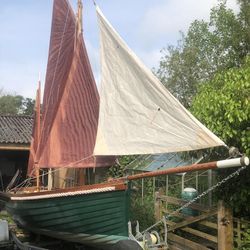 Kittiwake 16 (chough)