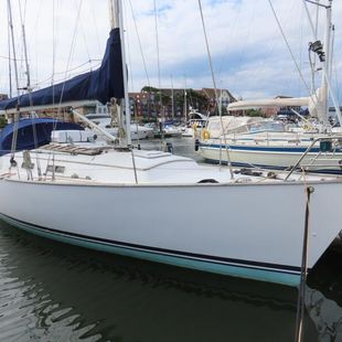 2011 Van de Stadt Helena 38