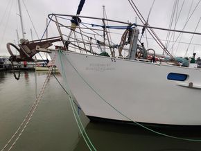 Denis Ganley Cutter NZYF CAT 1 OFFSHORE - Bow