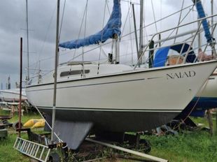 1986 Hurley 22