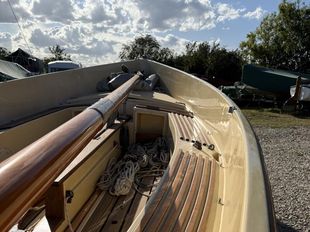 Norfolk Oyster Whimbrel