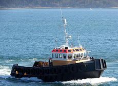 2004 TUG Twin Screw 14.65 m Only For Charter