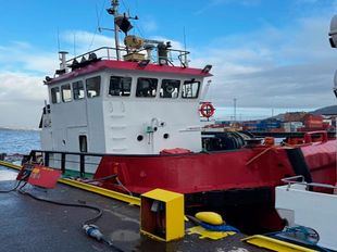 1994 Multicat For Sale