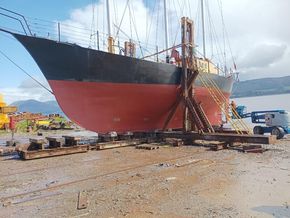 Ashore 2024
