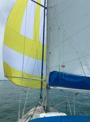 Spinaker