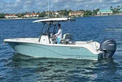 2022 Sea Fox