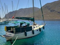 1982 WINSOR EVERITT 29