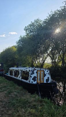 24ft Springer Canal Boat