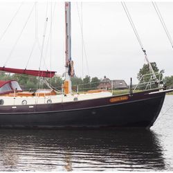 DANISH ROSE 33