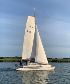 Dragonfly 800 Swing Wing