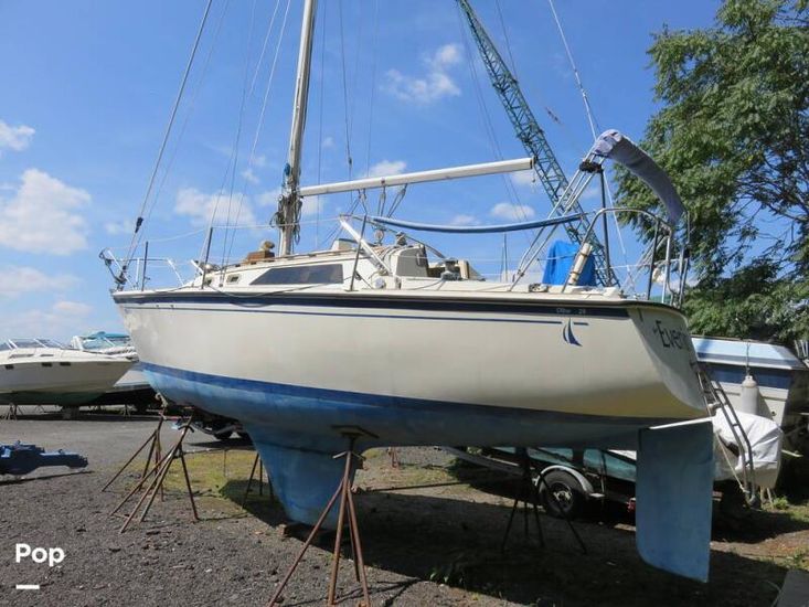 1985 Bimini 28