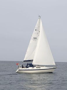 Westerly Storm 33