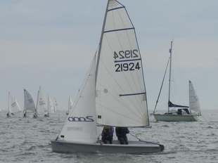 Laser 2000 21924