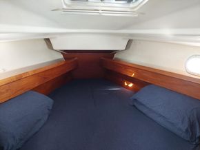 Jeanneau Sun Odyssey 37  - Forward Cabin
