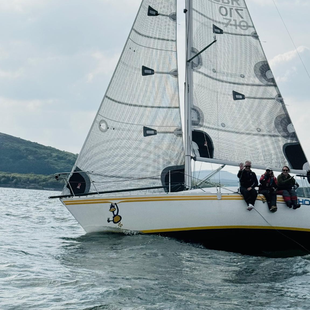 IRC Optimised Half ton - Hooligan