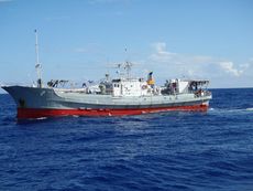 TUNA FREEZER LONG LINER -35 deg C.