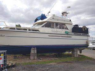 Princess 41 (available)