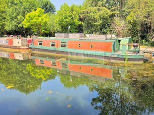 55ft Cruiser Stern 