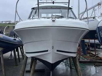 Merry Fisher 595