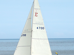 Sigma 33 OOD