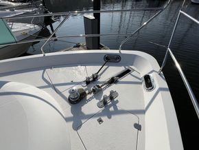 IMG 1535