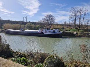 Barge - Saint Amour