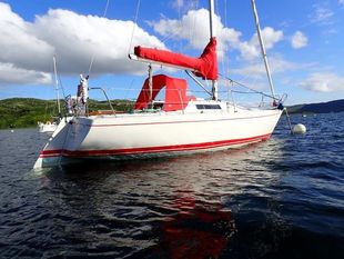 1979 Albin  Cumulus 8.5m