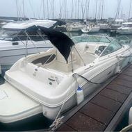 Sea Ray 215 - Excellent condition
