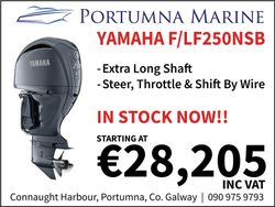 YAMAHA F250NSB OUTBOARD