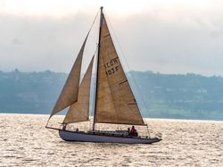 "SARITA" 38' 12 TON AUXILIARY CUTTER- £38000 open to offers