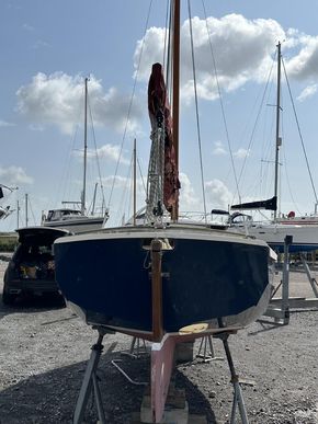 Stern