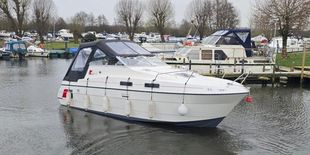 Shadow 26