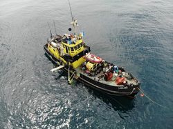 Robuuste ex-marine Fleet Tender 25?m – D