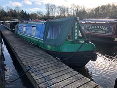 35' Nicotiana