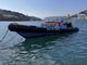 2002 Ribcraft 9m commercial