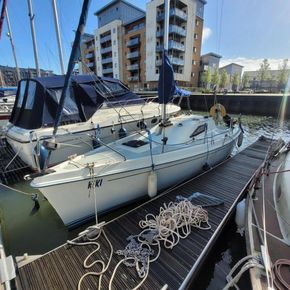 8833673 20230425045849140 1 XLARGE