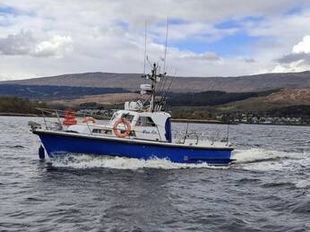 1971 Mitchell Marine 31 MKII