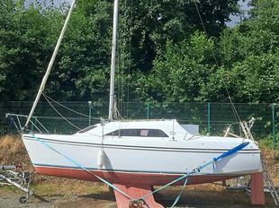 Hunter Ranger 245