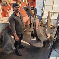 Anchor chain and winch for ships